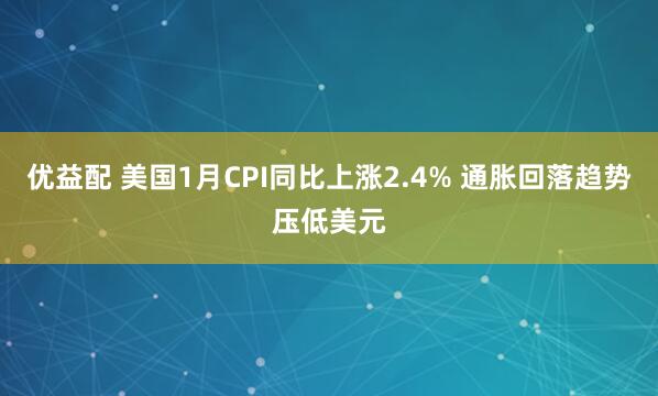 优益配 美国1月CPI同比上涨2.4% 通胀回落趋势压低美元