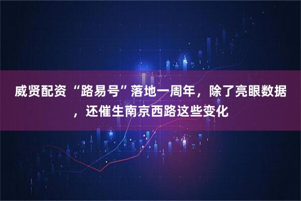 威贤配资 “路易号”落地一周年，除了亮眼数据，还催生南京西路这些变化