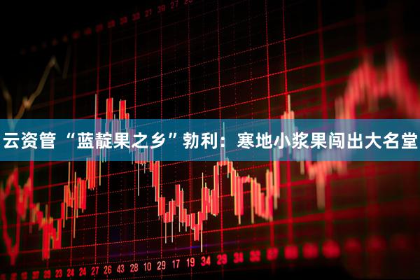 云资管 “蓝靛果之乡”勃利：寒地小浆果闯出大名堂
